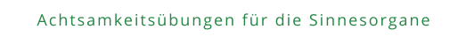 Achtsamkeitsübungen für die Sinnesorgane