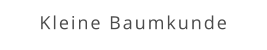 Kleine Baumkunde