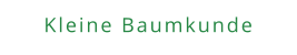 Kleine Baumkunde